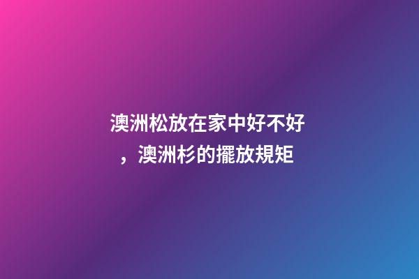 澳洲松放在家中好不好，澳洲杉的擺放規矩